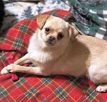 Photo of Lyla