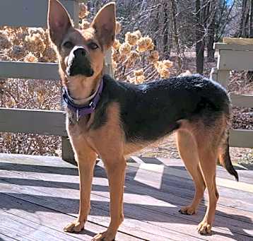Photo of Lady