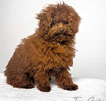 Photo of Ezekiel