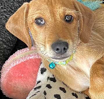 Photo of Benny