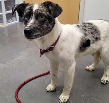 Photo of Sugar
