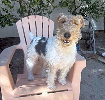 Photo of Winston