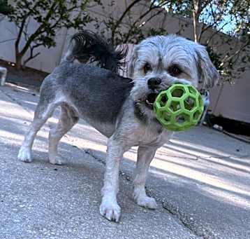 Photo of Bama