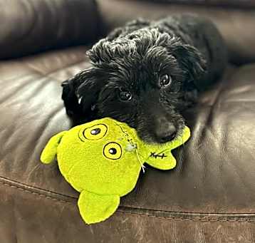 Photo of Chyna