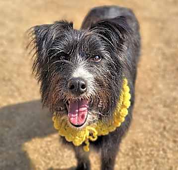 Photo of Bamba