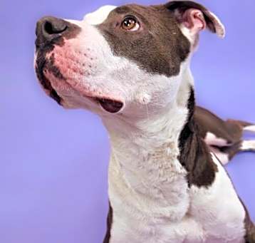 Photo of Twist