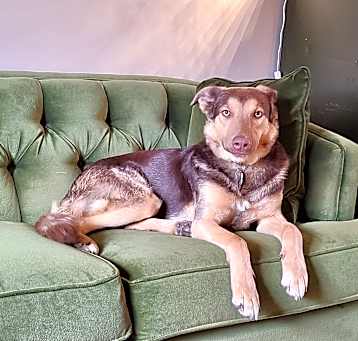 Photo of Carmie