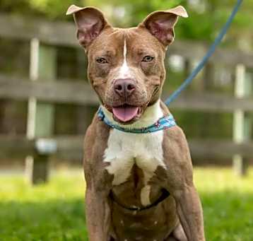 Photo of Harlow