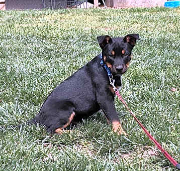 Photo of Suraby