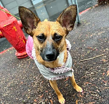 Photo of Wenatchee Lee