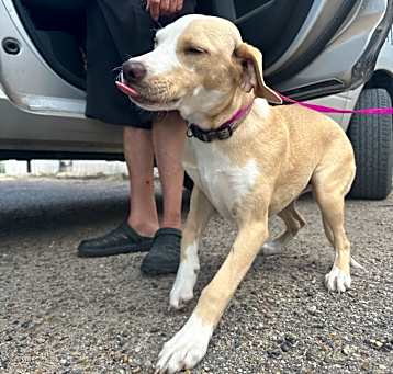 Photo of Athena
