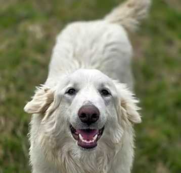 Photo of Aspen Glasgow