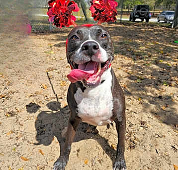 Photo of Beulah
