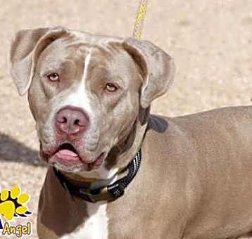 Photo of Roxy
