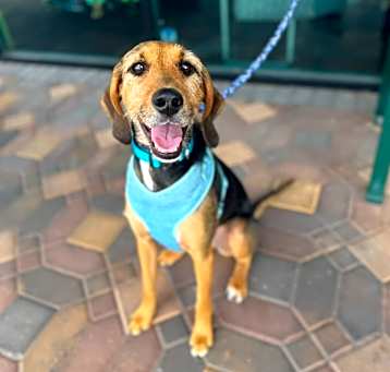 Photo of Maggie