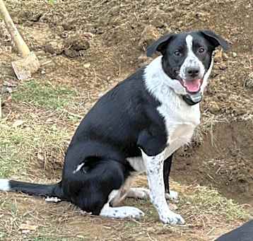 Photo of Junie