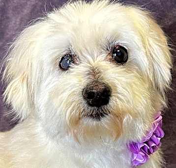 Photo of Molly