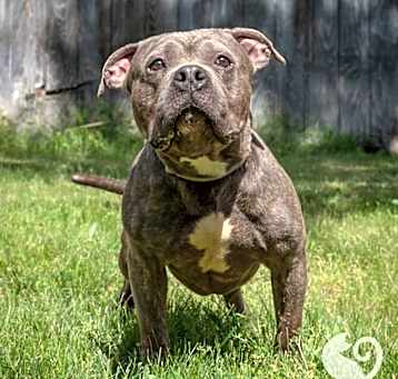Photo of Savy
