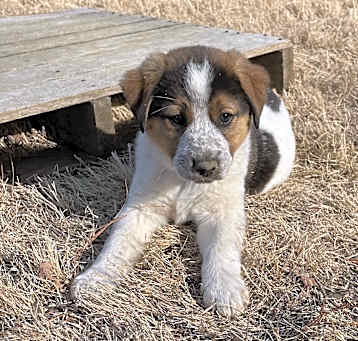 Photo of HOLLY