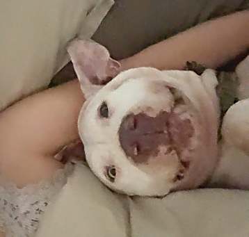 Photo of Kira
