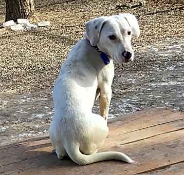 Photo of Zoe