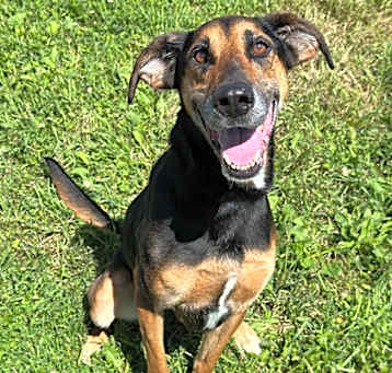 Photo of Nala