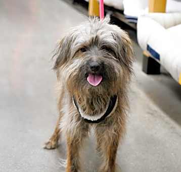 Photo of Chuy