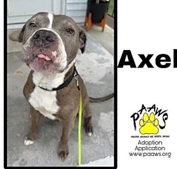 Photo of Axel