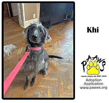 Photo of Khi