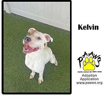 Photo of Kelvin