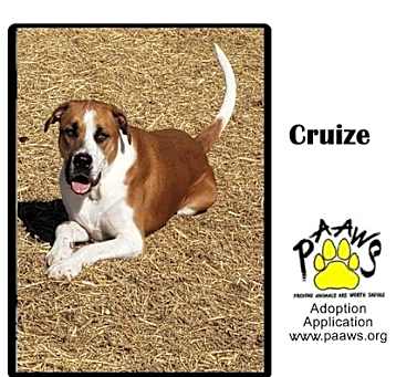 Photo of Cruize