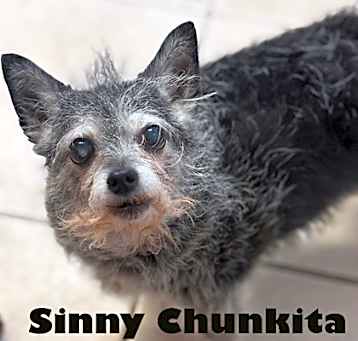 Photo of Sinny AKA Lexi