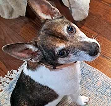 Photo of Small Paul