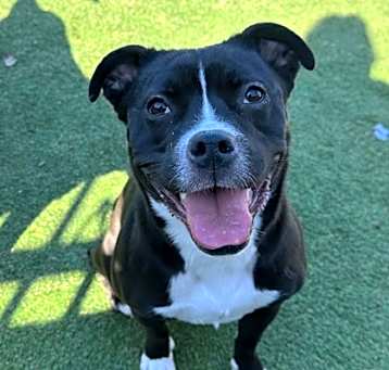 Photo of Xena