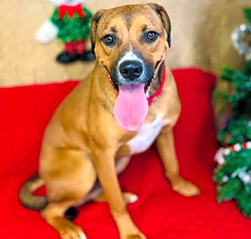 Photo of Sundance