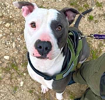 Photo of Arlo