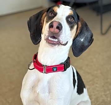 Photo of Nellie