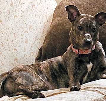 Photo of Kiara