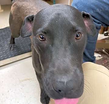 Photo of Ernie
