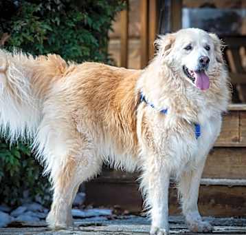 Photo of Wally