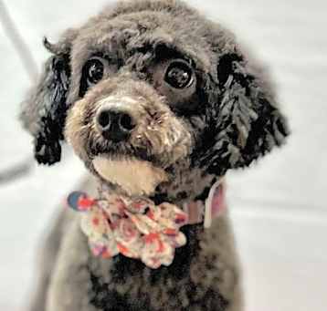 Photo of Ethel
