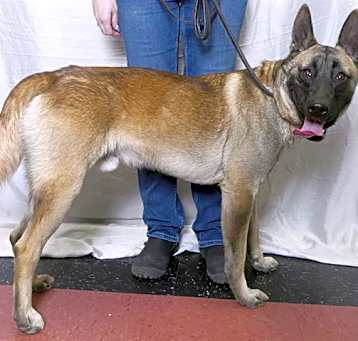 Photo of TIAGO