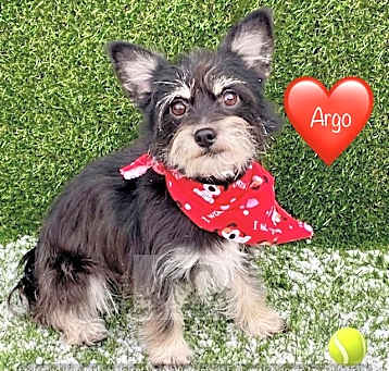 Photo of ARGO