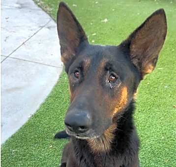 Photo of MAXIMUS