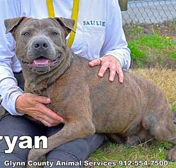Photo of BRYAN