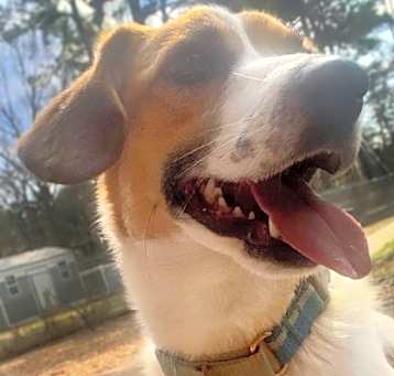 Photo of Lovely Trinket