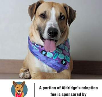 Photo of Aldridge ** D8986 (Sponsored)