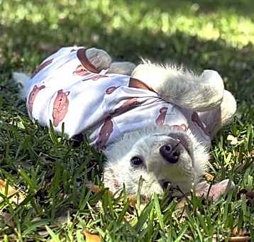 Photo of Glinda SAT