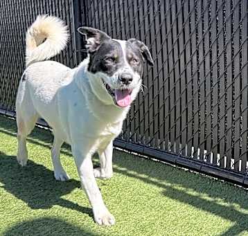 Photo of OSCAR-A2159466