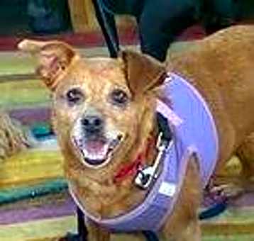 Photo of Gabby